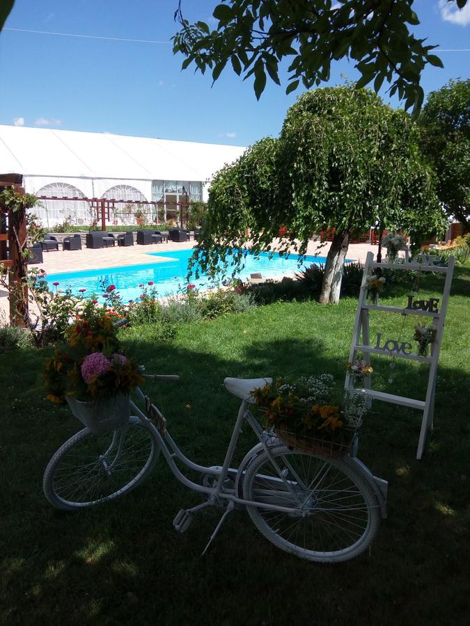 Casa Danielescu Otel Târgu Jiu Dış mekan fotoğraf