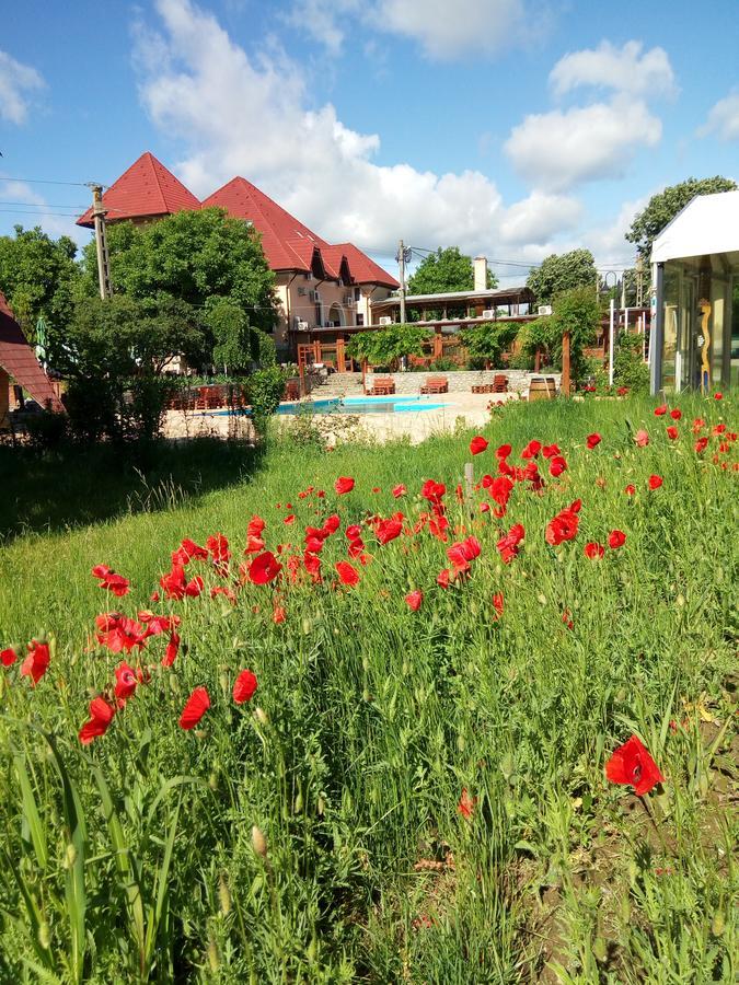 Casa Danielescu Otel Târgu Jiu Dış mekan fotoğraf