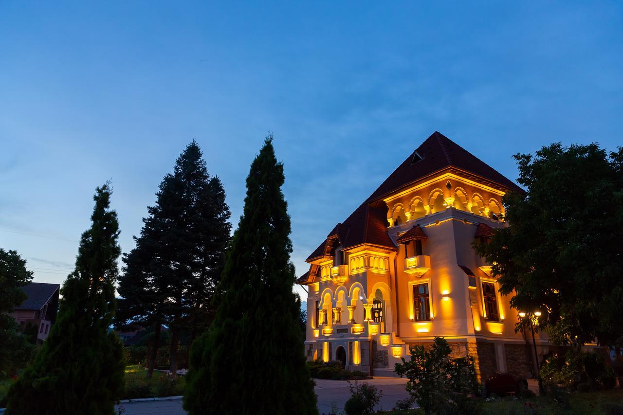Casa Danielescu Otel Târgu Jiu Dış mekan fotoğraf